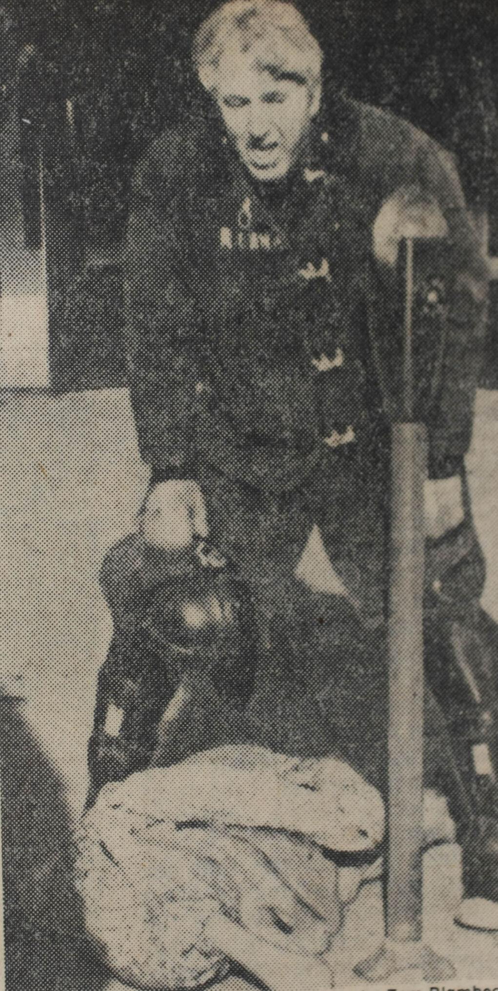 JRB-LANG